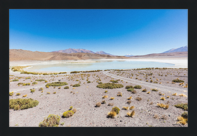Laguna Honda, Bolivia - Great Pictures Framed