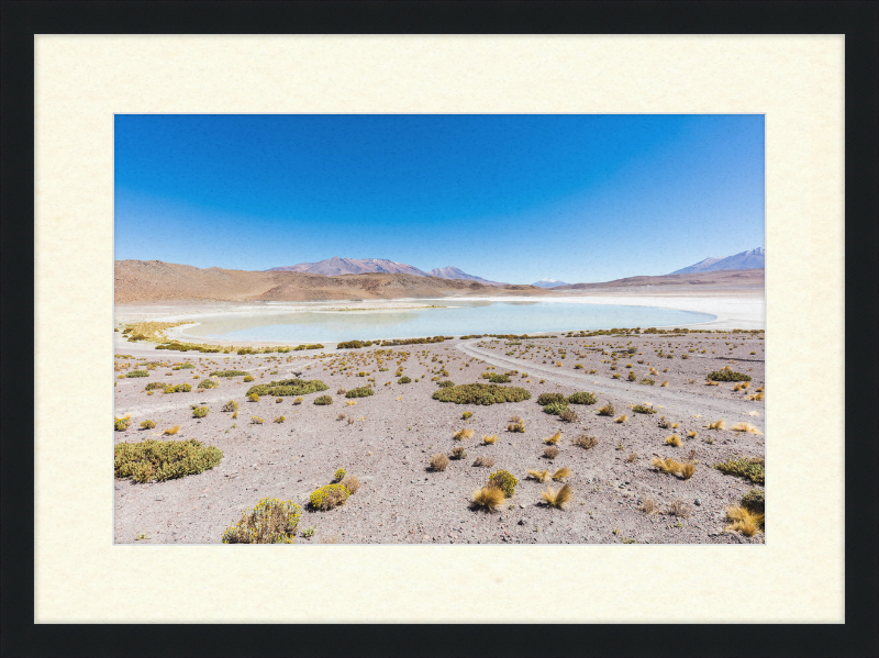 Laguna Honda, Bolivia - Great Pictures Framed