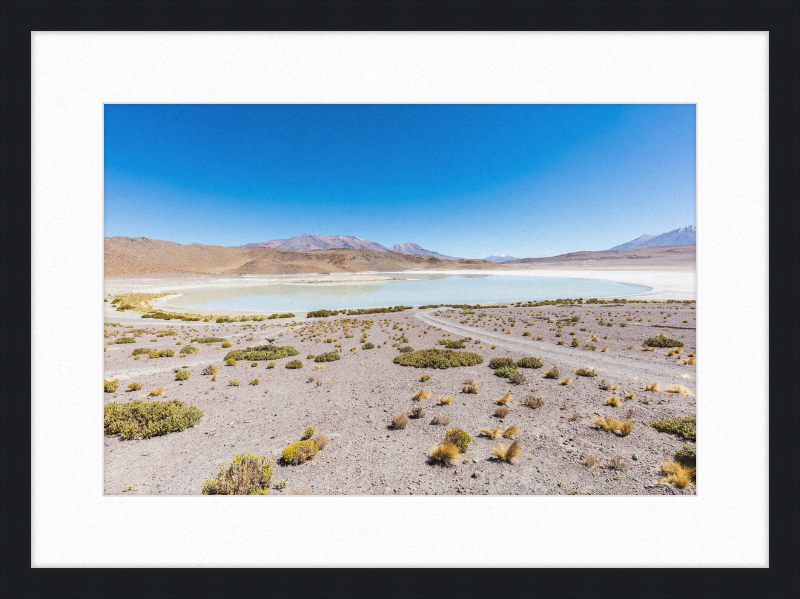 Laguna Honda, Bolivia - Great Pictures Framed