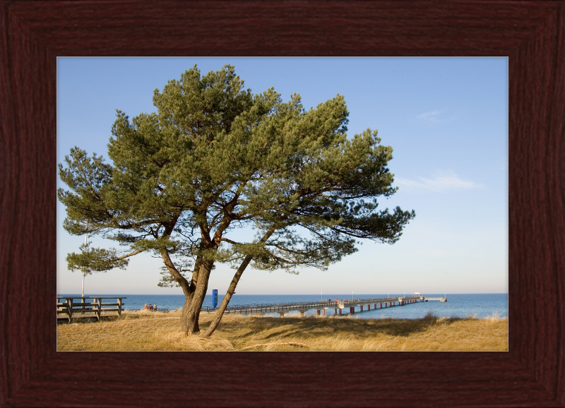 Seebruecke Prerow - Great Pictures Framed