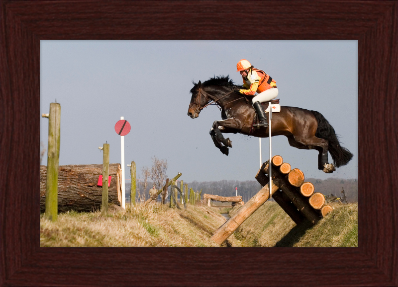 A Horse Handling a Ditch in a Steeple Chase - Great Pictures Framed