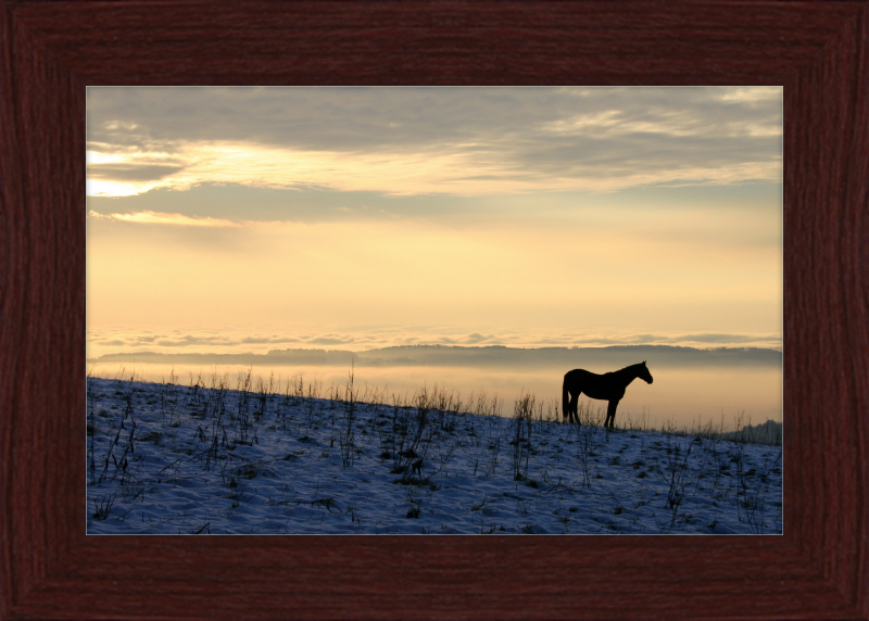 On the Hill of Gehrenberg - Great Pictures Framed