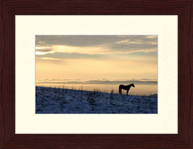 On the Hill of Gehrenberg - Great Pictures Framed