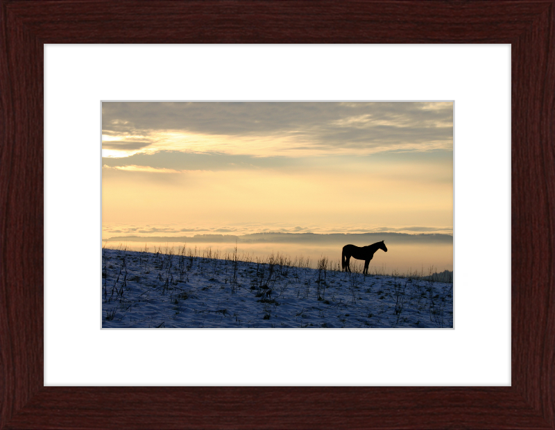On the Hill of Gehrenberg - Great Pictures Framed