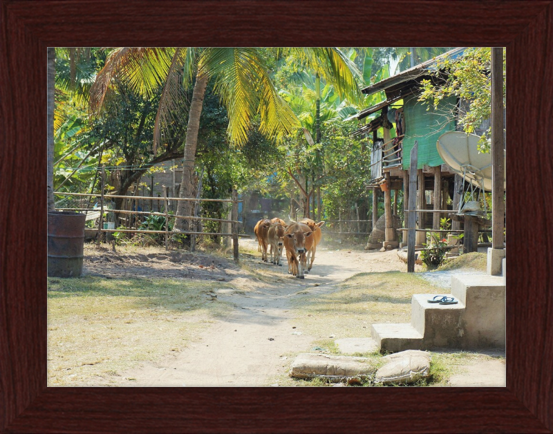 Ile de KHONG in Laos - Great Pictures Framed