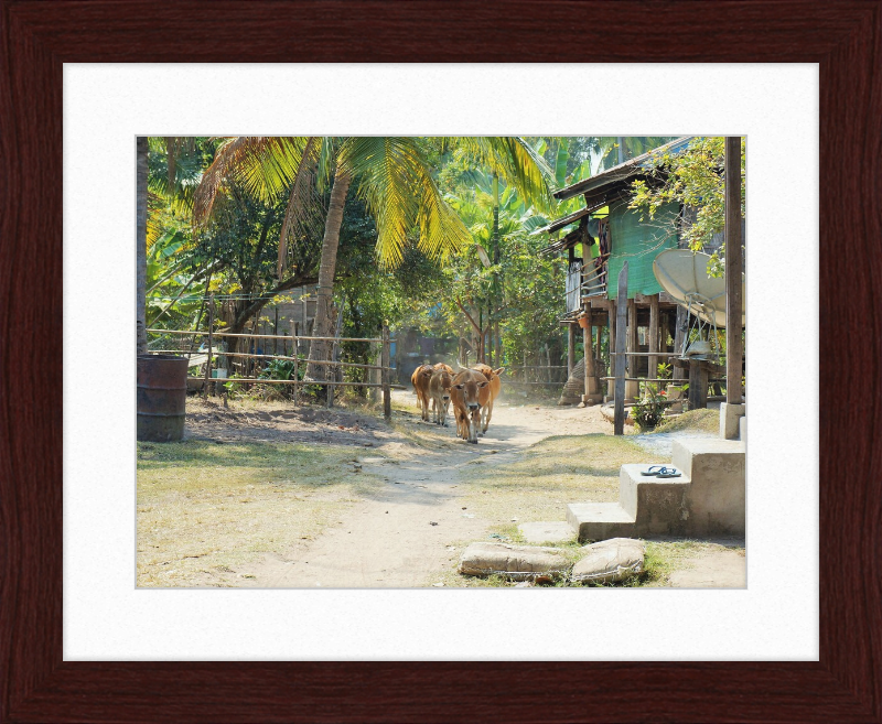 Ile de KHONG in Laos - Great Pictures Framed