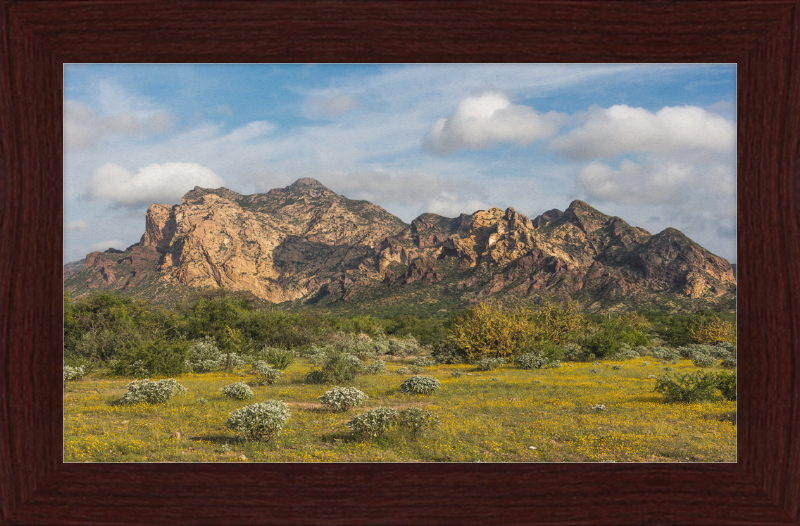 San Carlos Sonora Landscape - Great Pictures Framed