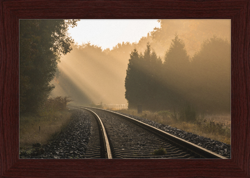 A Track in Börnste - Great Pictures Framed