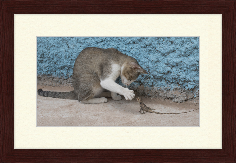 The Cat and the Lizard - Great Pictures Framed