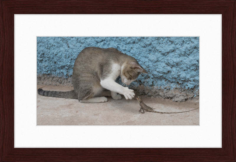 The Cat and the Lizard - Great Pictures Framed