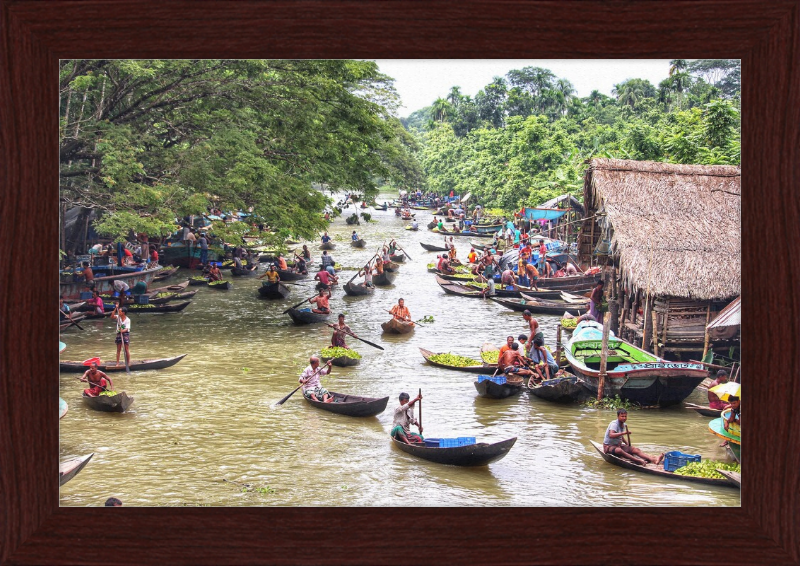 Floating Guava Market - Great Pictures Framed