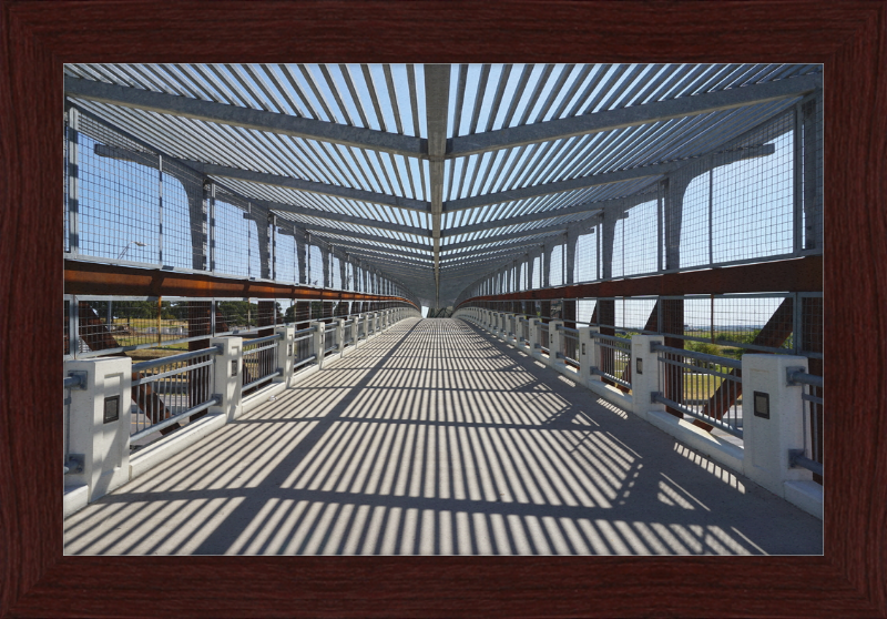 Pedestrian Bridge - University of North Texas - Great Pictures Framed