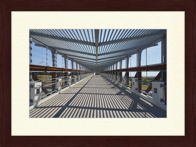 Pedestrian Bridge - University of North Texas - Great Pictures Framed