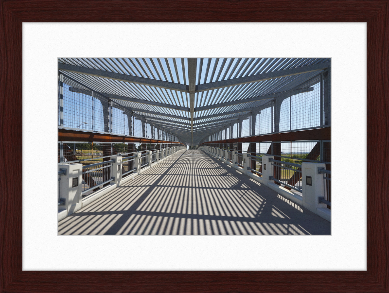 Pedestrian Bridge - University of North Texas - Great Pictures Framed