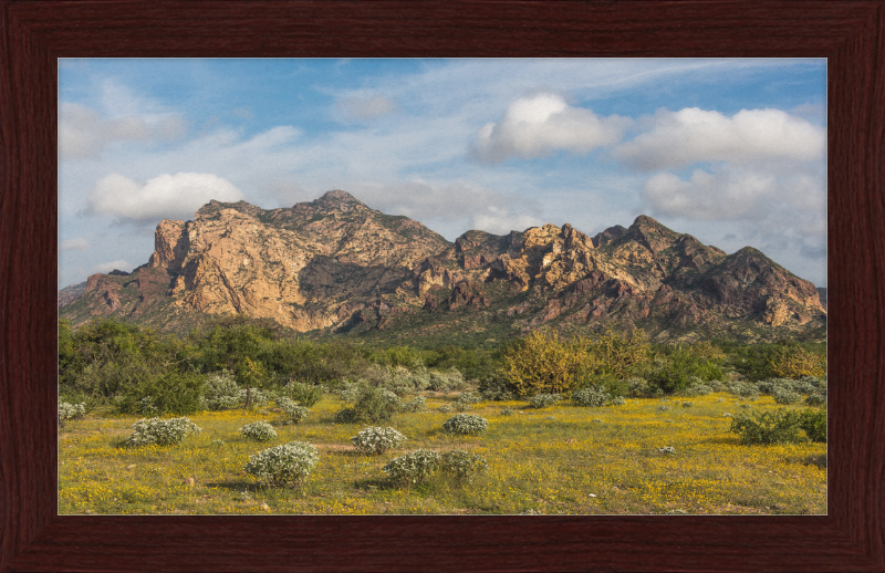 San Carlos Sonora Landscape - Great Pictures Framed