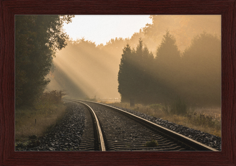 A Track in Börnste - Great Pictures Framed