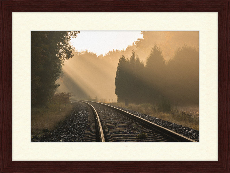 A Track in Börnste - Great Pictures Framed