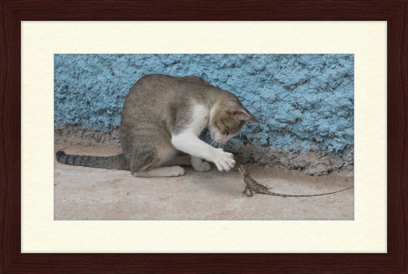 The Cat and the Lizard - Great Pictures Framed