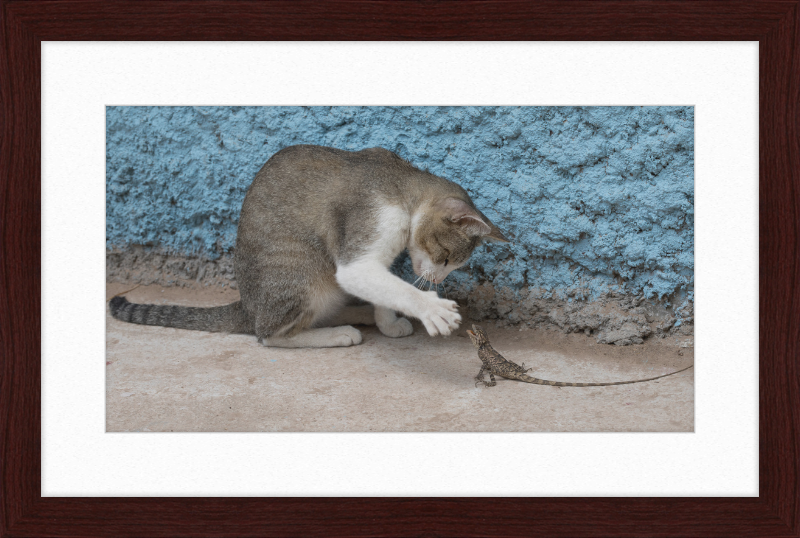 The Cat and the Lizard - Great Pictures Framed