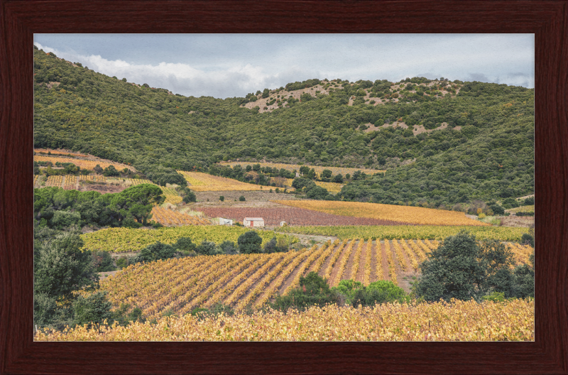Vineyards Near the Pic de Vissou - Great Pictures Framed