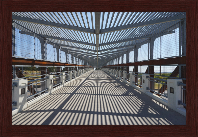 Pedestrian Bridge - University of North Texas - Great Pictures Framed