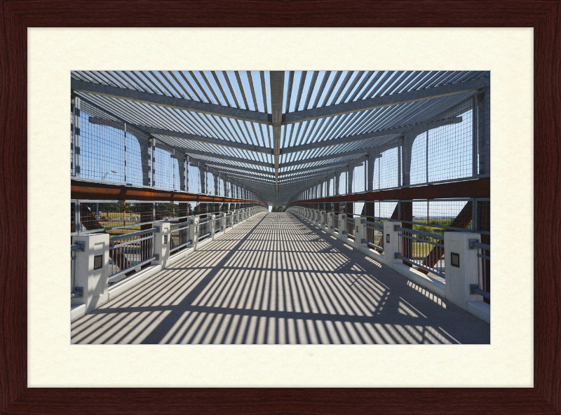 Pedestrian Bridge - University of North Texas - Great Pictures Framed