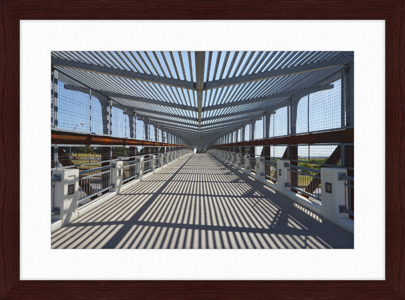 Pedestrian Bridge - University of North Texas - Great Pictures Framed