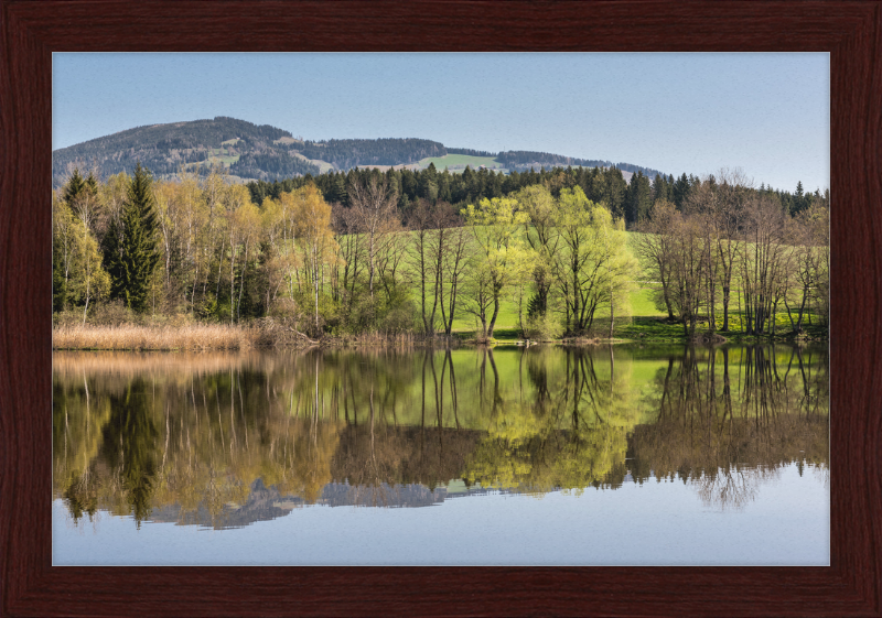 North Shore of Dietrichstein Sea - Great Pictures Framed