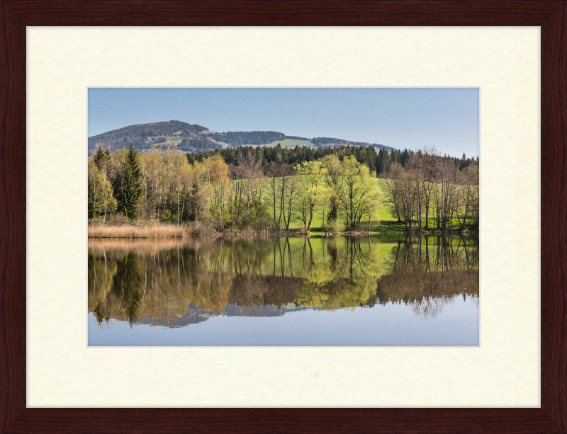 North Shore of Dietrichstein Sea - Great Pictures Framed
