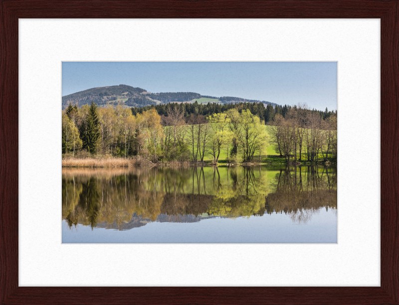 North Shore of Dietrichstein Sea - Great Pictures Framed