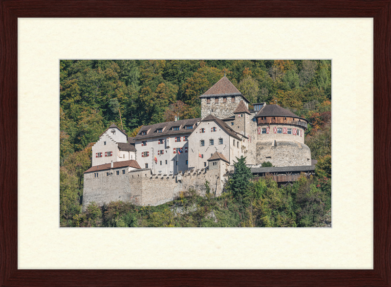 Vaduz Castle - Great Pictures Framed