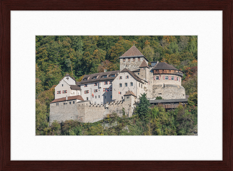 Vaduz Castle - Great Pictures Framed