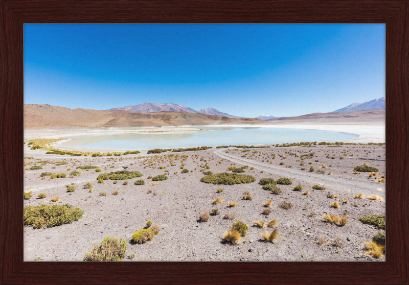Laguna Honda, Bolivia - Great Pictures Framed