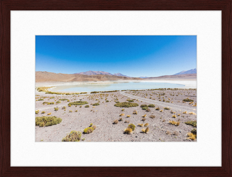Laguna Honda, Bolivia - Great Pictures Framed