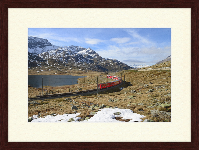 Regional train on the Bernina line at Lago Bianco - Great Pictures Framed
