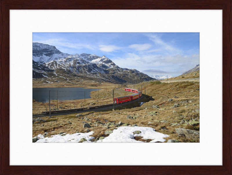Regional train on the Bernina line at Lago Bianco - Great Pictures Framed
