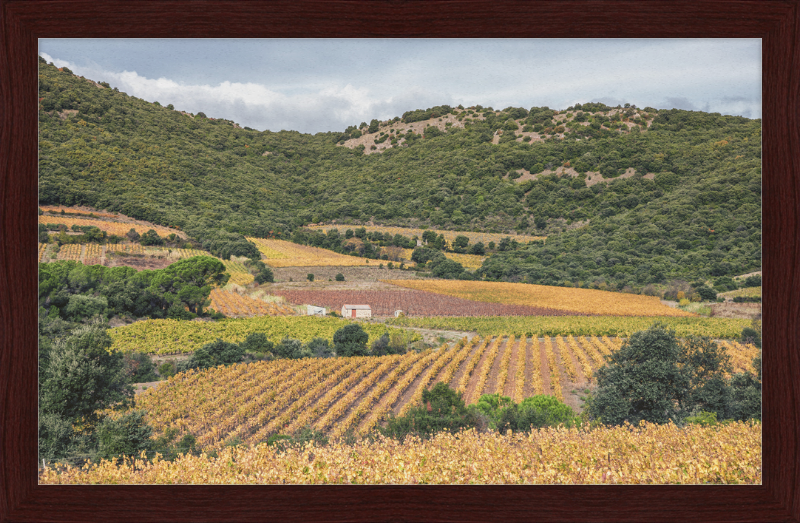 Vineyards Near the Pic de Vissou - Great Pictures Framed