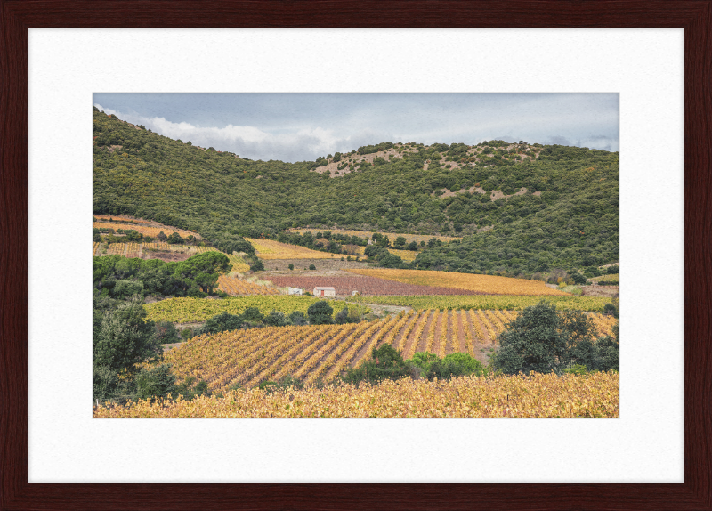 Vineyards Near the Pic de Vissou - Great Pictures Framed