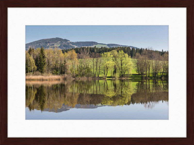North Shore of Dietrichstein Sea - Great Pictures Framed