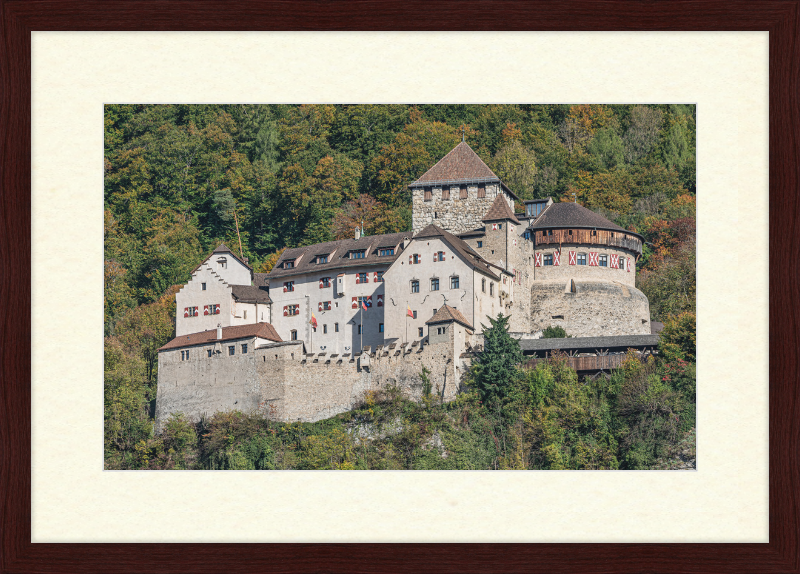 Vaduz Castle - Great Pictures Framed