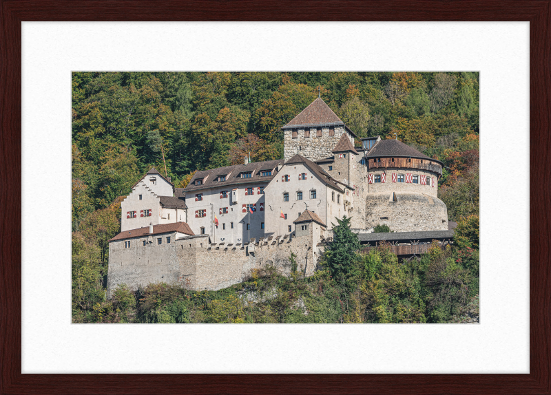 Vaduz Castle - Great Pictures Framed