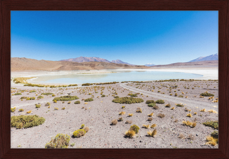 Laguna Honda, Bolivia - Great Pictures Framed