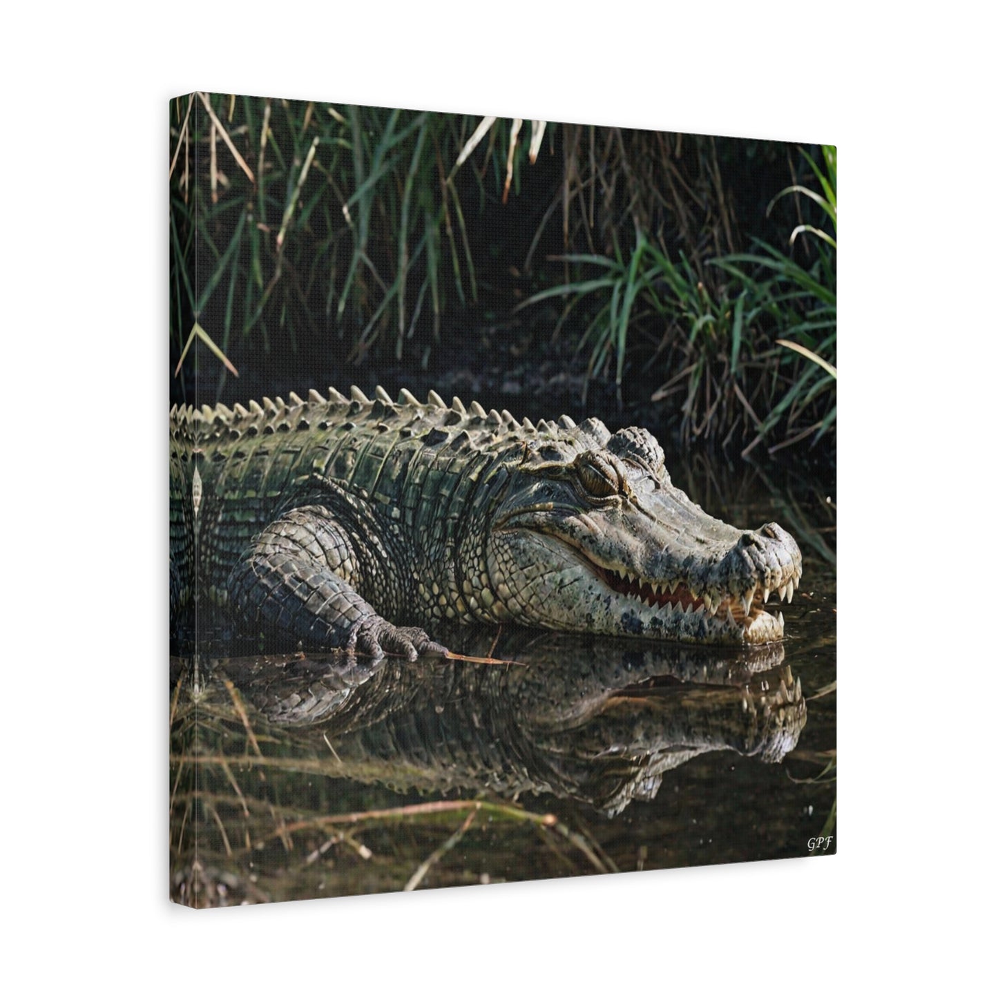 Crocodile (031) - Great Pictures Framed