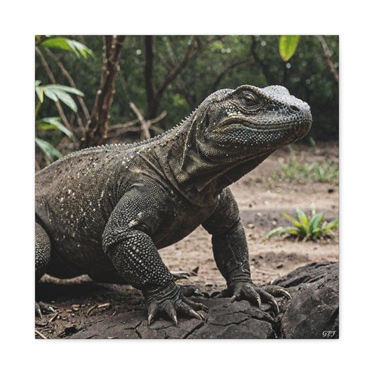 Komodo Dragon (166) - Great Pictures Framed