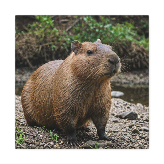 Capybara (086) - Great Pictures Framed