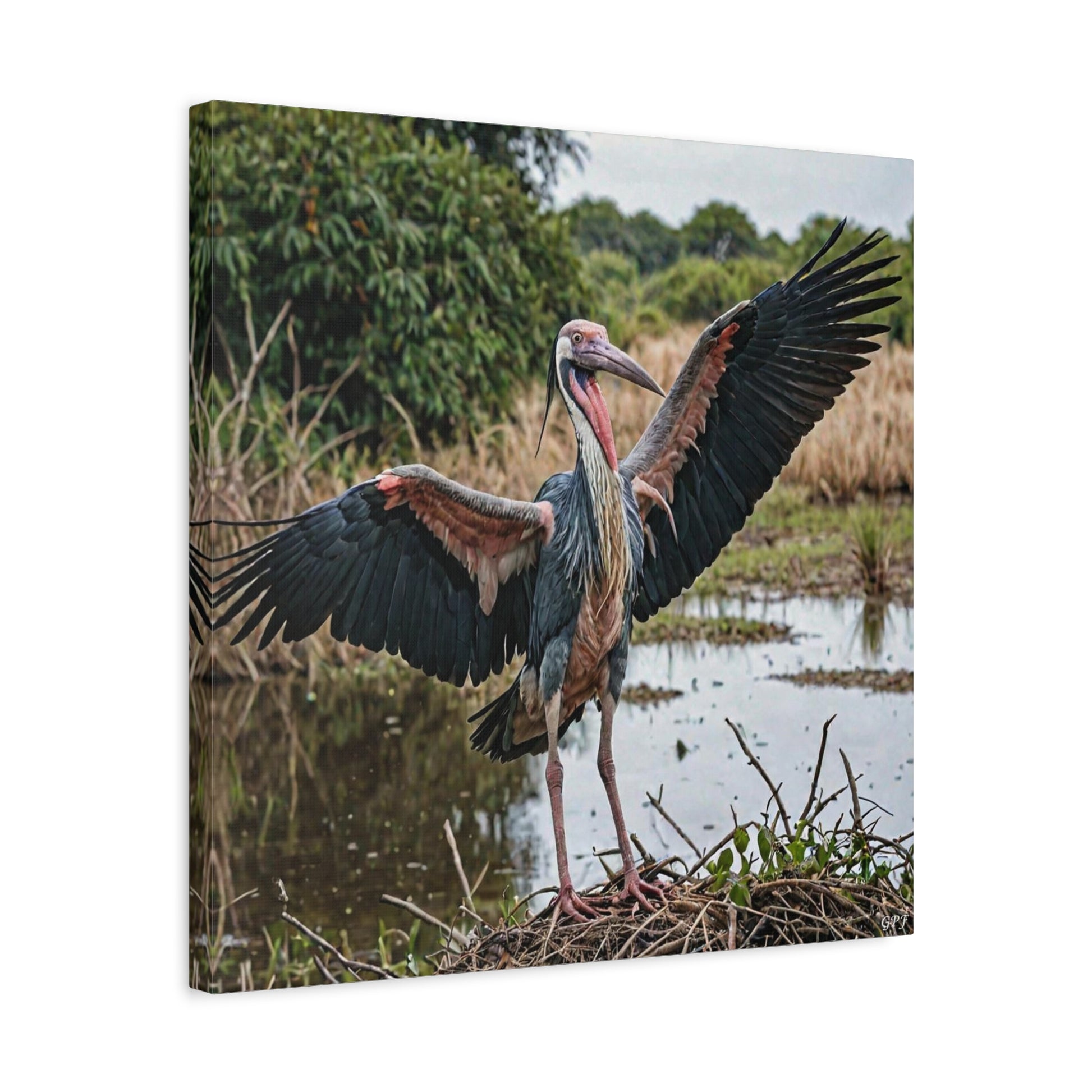 Marabou Stork (0023) - Great Pictures Framed