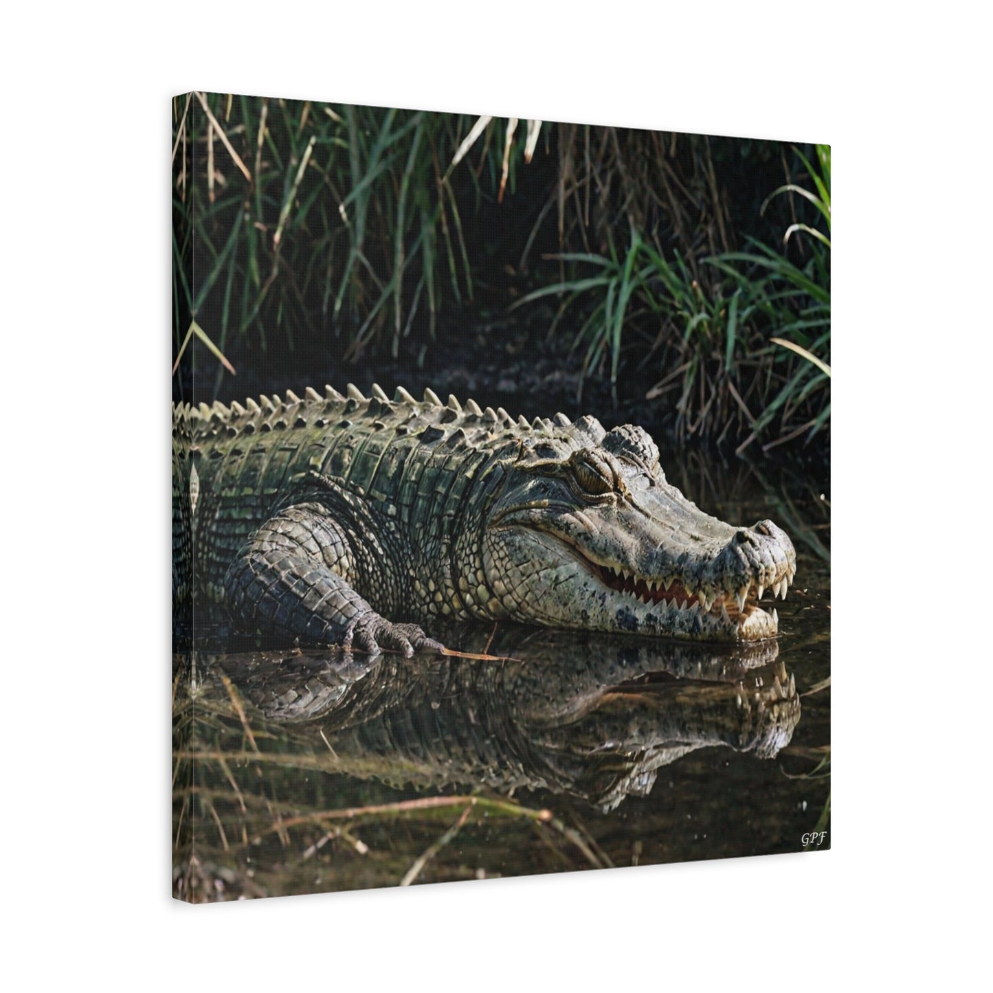 Crocodile (031) - Great Pictures Framed