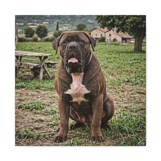 Neapolitan Mastif (073) - Great Pictures Framed