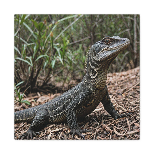 Goanna  (16) - Great Pictures Framed