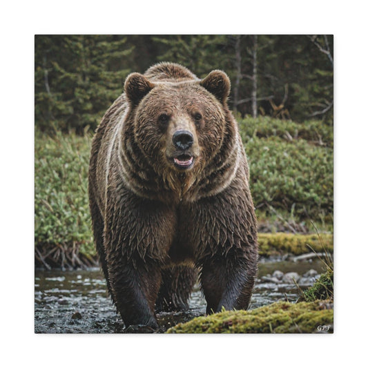 Grizzly Bear (043) - Great Pictures Framed